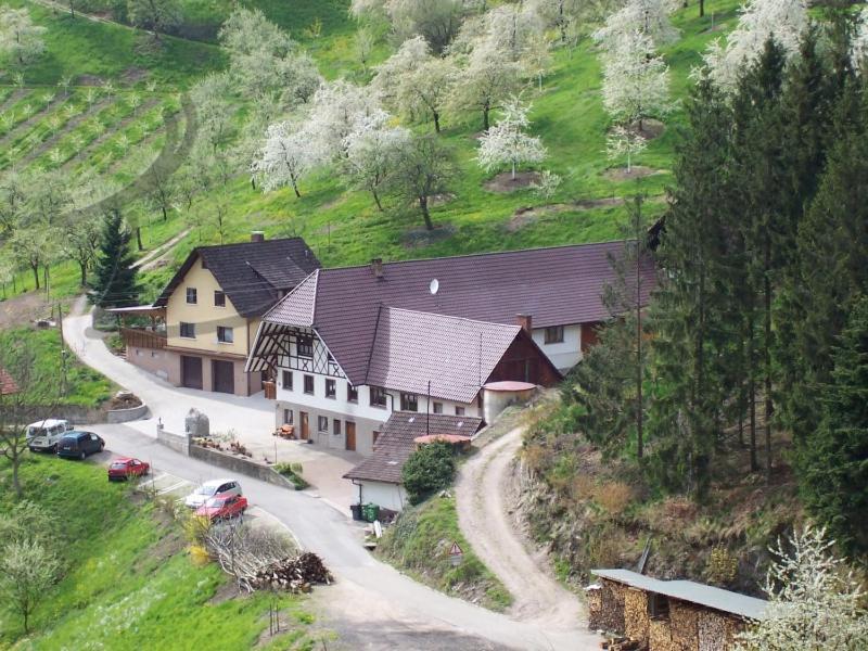 Ferienwohnung Schneckenhus Lautenbach Екстериор снимка