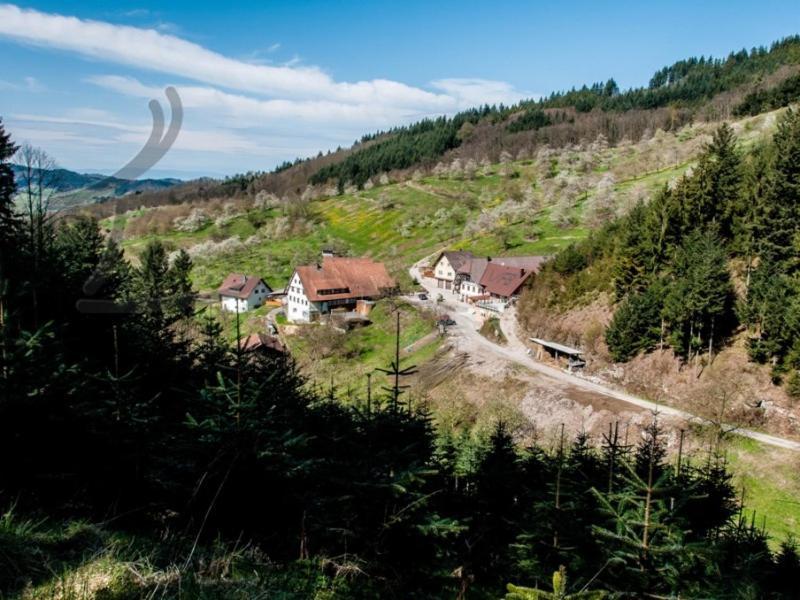 Ferienwohnung Schneckenhus Lautenbach Екстериор снимка