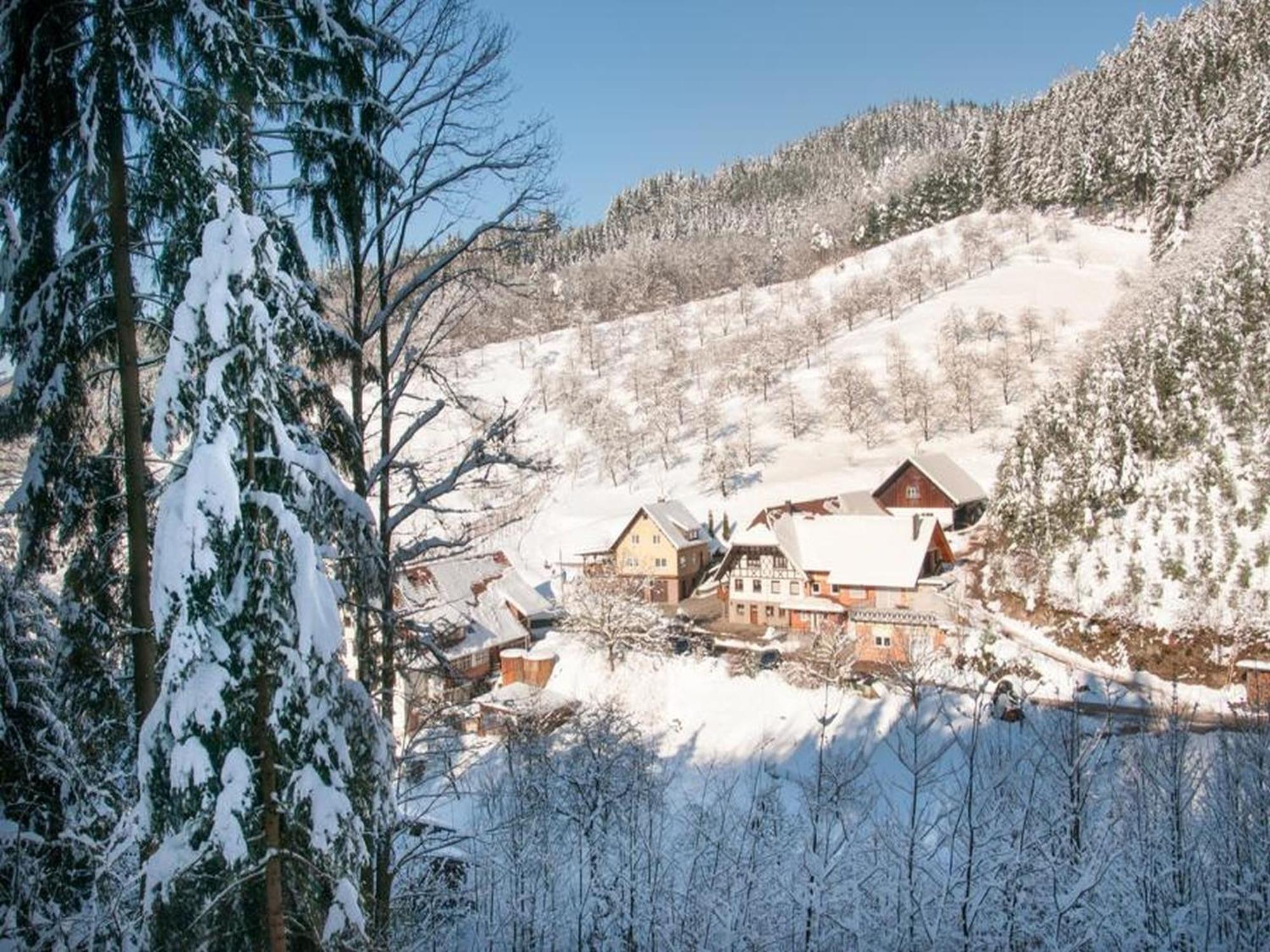 Ferienwohnung Schneckenhus Lautenbach Екстериор снимка