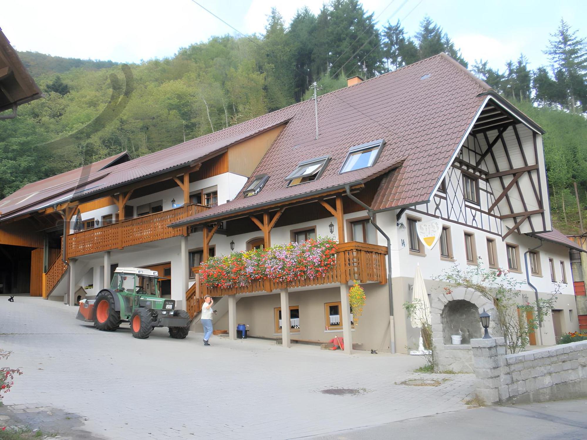 Ferienwohnung Schneckenhus Lautenbach Екстериор снимка